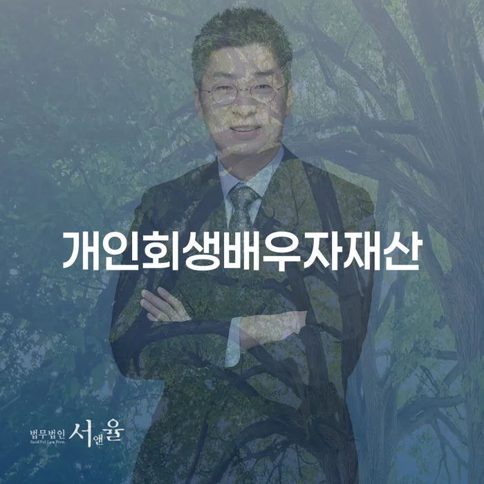 공동사업자대출 연체 시 대출 연체 개인회생 단점을