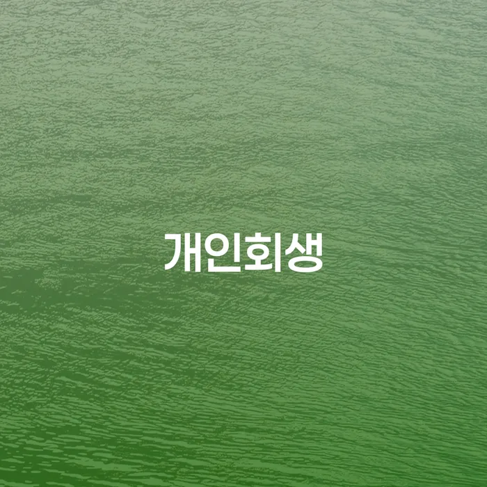개인회생파산 개인회생 처리방법 무료상담
