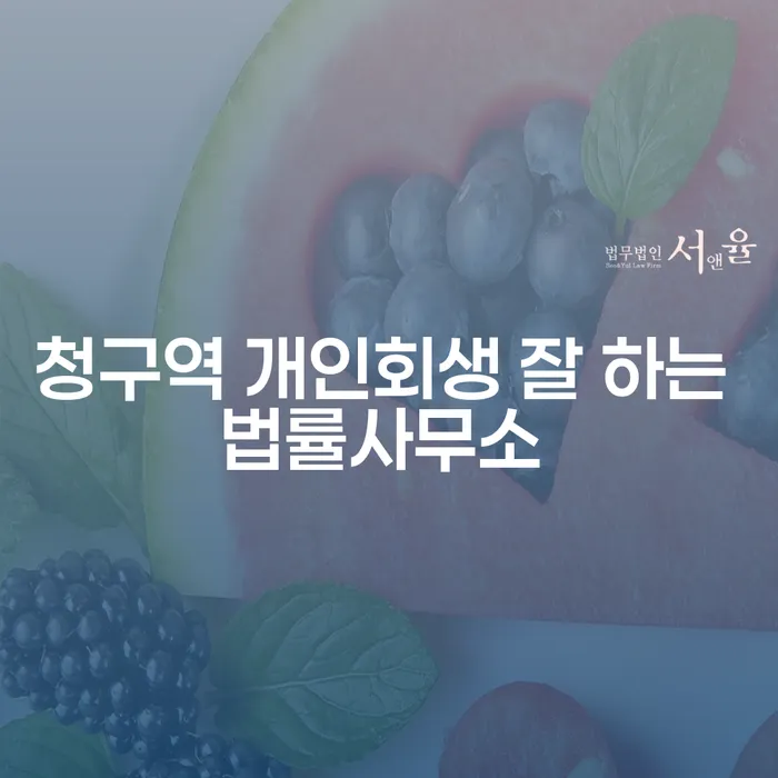 청구역 개인회생 잘 하는 법률사무소